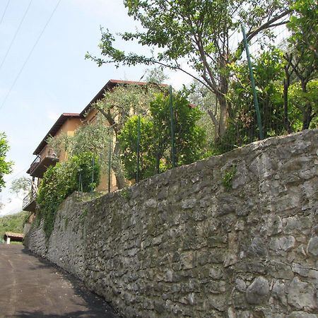 Villa Olivo Campo 外观 照片